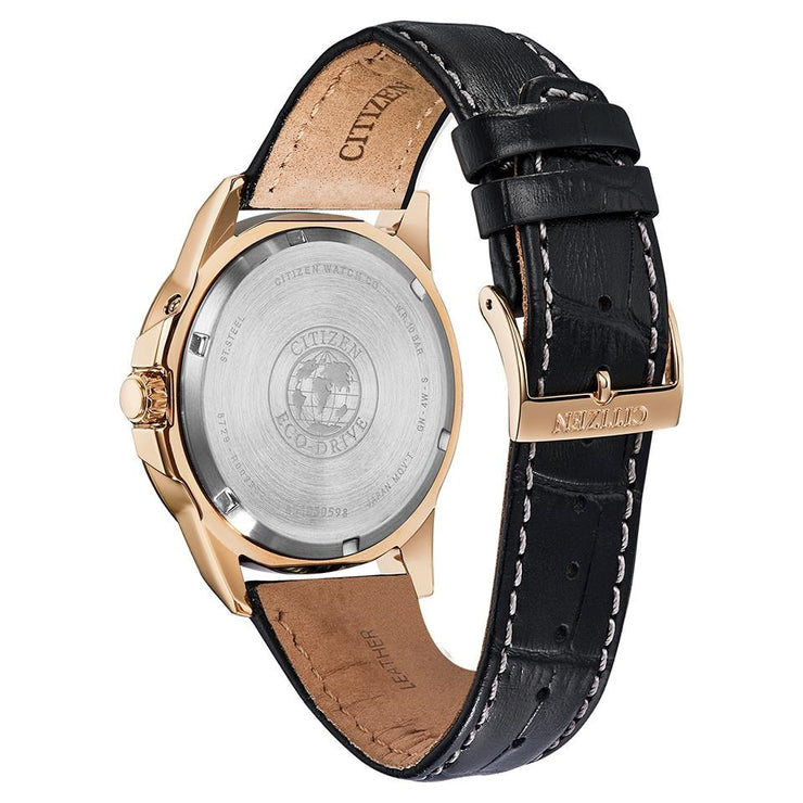 <BR>World Time Perpetual<BR/>(BX1003-08E)